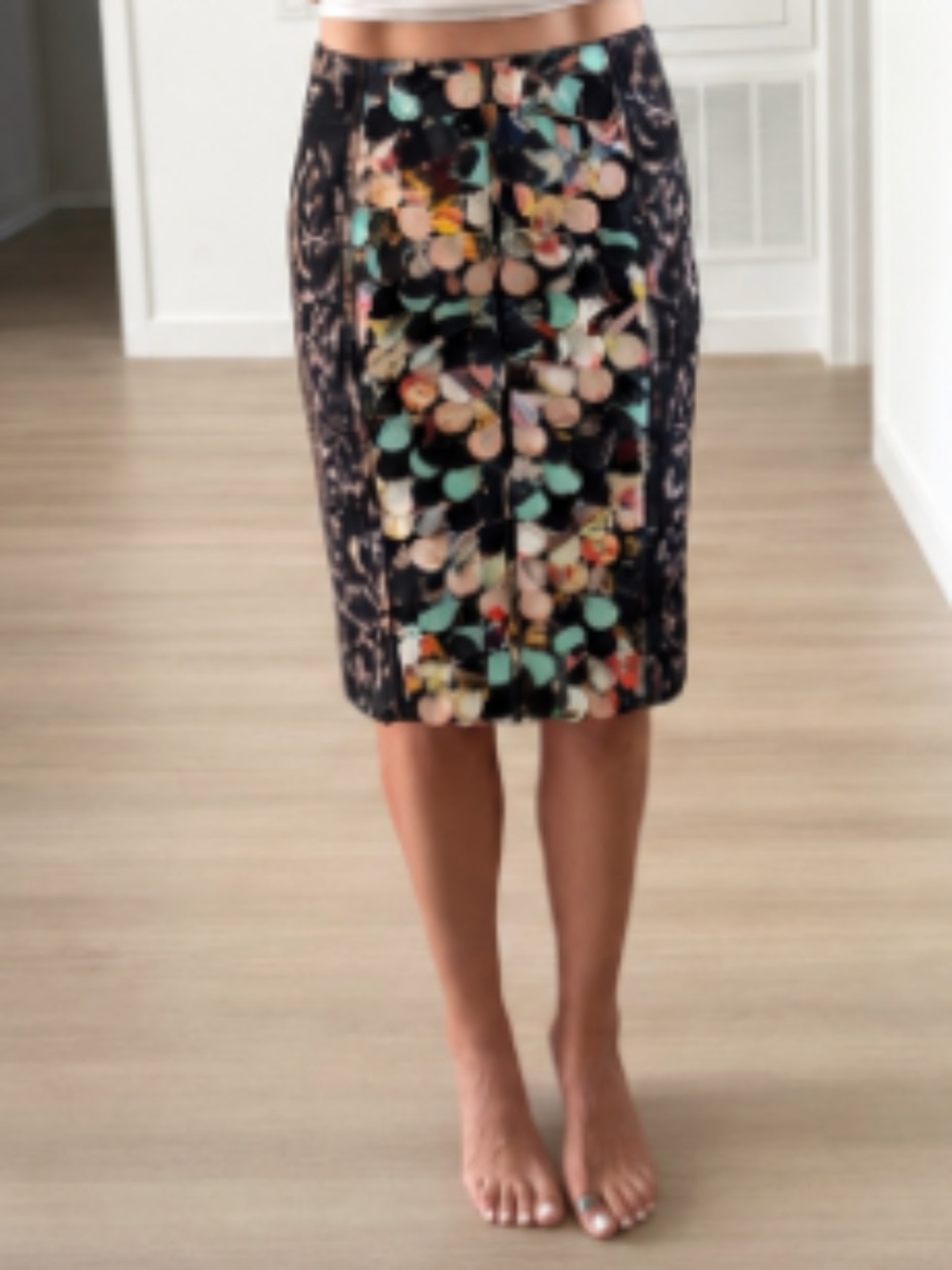 Anthropologie Skirt Size 2